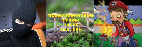 соль ск Переславль-Залесский