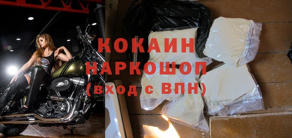 хмурый Няндома